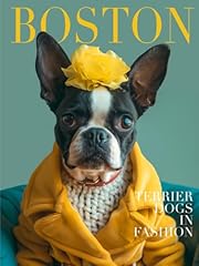 Boston terrier dogs for sale  Delivered anywhere in UK