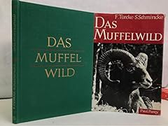 Muffelwild naturgeschichte gebraucht kaufen  Wird an jeden Ort in Deutschland