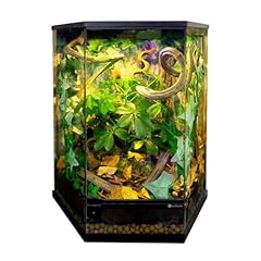 Swell hexagon glass for sale  Delivered anywhere in UK