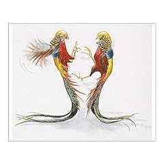 10x8 Print of Illustration of two male Golden Pheasant for sale  Delivered anywhere in UK