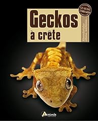 Geckos crête rhacodactylus for sale  Delivered anywhere in UK