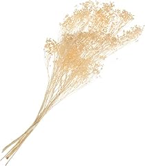 Broom bloom gebraucht kaufen  Wird an jeden Ort in Deutschland