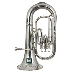 Indian musical instrument usato  Spedito ovunque in Italia 
