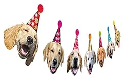 Golden retriever birthday for sale  Delivered anywhere in USA 