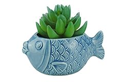 Vanenjoy ceramic succulent for sale  Delivered anywhere in USA 