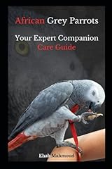 African grey parrots for sale  Delivered anywhere in Ireland