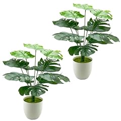 Aivoriuy plantes artificielles d'occasion  Livré partout en France
