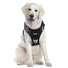 Funfox hundegeschirr mittelgro gebraucht kaufen  Wird an jeden Ort in Deutschland