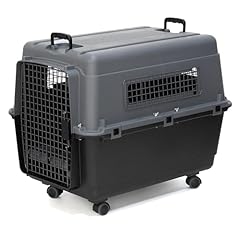 Sportpet designs plastic for sale  Delivered anywhere in USA 