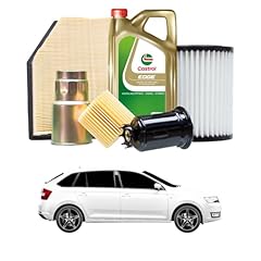 Tagliando per skoda usato  Spedito ovunque in Italia 