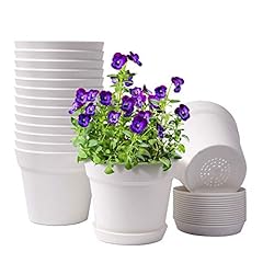 Homenote pots plants for sale  Delivered anywhere in USA 