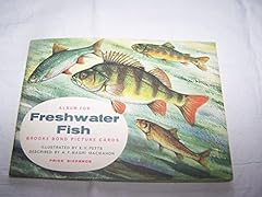 Freshwater fish brooke for sale  Delivered anywhere in UK