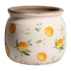 Xiaan jiaju ceramic for sale  Delivered anywhere in USA 