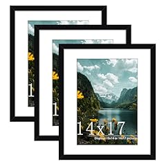 Picrit 14x17 picture for sale  Delivered anywhere in USA 