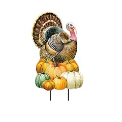 Briarwood lane turkey for sale  Delivered anywhere in USA 