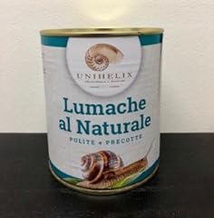 Lumache naturale 1kg. usato  Spedito ovunque in Italia 