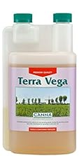 Canna terra vega usato  Spedito ovunque in Italia 