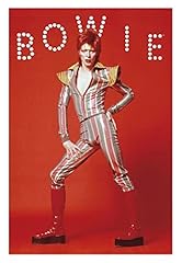 David bowie glam usato  Spedito ovunque in Italia 
