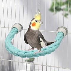 Shape bird parrot for sale  Delivered anywhere in USA 