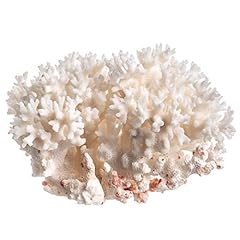 White sea coral for sale  Delivered anywhere in USA 