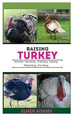 Raising turkeys breads for sale  Delivered anywhere in USA 