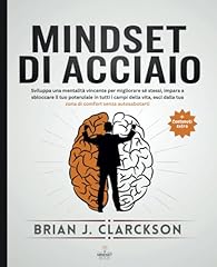 Mindset acciaio sviluppa for sale  Delivered anywhere in UK