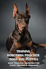 Training doberman pinscher for sale  Delivered anywhere in UK