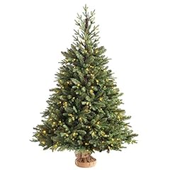 Werchristmas norway spruce for sale  Delivered anywhere in UK
