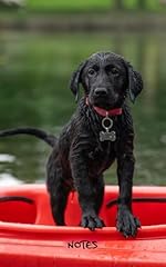 Black lab puppy for sale  Delivered anywhere in USA 