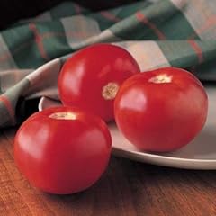 100 semi pomodoro usato  Spedito ovunque in Italia 