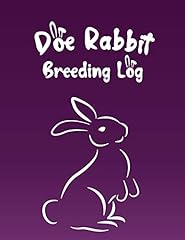 Doe rabbit breeding for sale  Delivered anywhere in UK