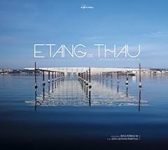 Etang thau tantôt d'occasion  Livré partout en Belgiqu