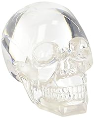 Clear translucent skull for sale  Delivered anywhere in USA 