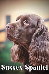Sussex spaniel dog for sale  Delivered anywhere in UK