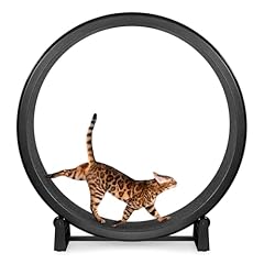 One fast cat for sale  Delivered anywhere in USA 