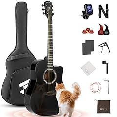Fesley acoustic guitar for sale  Delivered anywhere in USA 
