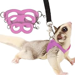 Pack sugar glider for sale  Delivered anywhere in USA 