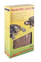 Lucky reptile turtle usato  Spedito ovunque in Italia 