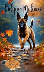 Belgian malinois puppies for sale  Delivered anywhere in USA 