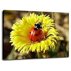 Ssddkl beautiful ladybug for sale  Delivered anywhere in USA 