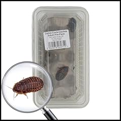 Livefoods4u live medium for sale  Delivered anywhere in UK