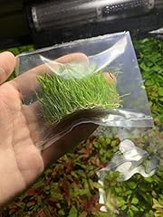 Marcus fish tanks for sale  Delivered anywhere in USA 