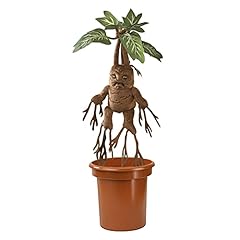 Nobile collezione mandrake usato  Spedito ovunque in Italia 