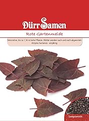 Rote gartenmelde samen gebraucht kaufen  Wird an jeden Ort in Deutschland