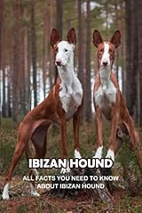 Ibizan hound facts for sale  Delivered anywhere in UK