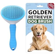 Golden retriever dog for sale  Delivered anywhere in USA 