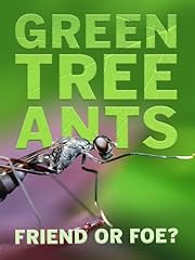 Green tree ants for sale  Delivered anywhere in USA 