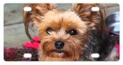 Yorkshire terrier yorkie for sale  Delivered anywhere in USA 