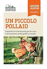 Piccolo pollaio. costruirlo usato  Spedito ovunque in Italia 