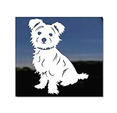 Morkie maltese yorkie for sale  Delivered anywhere in USA 